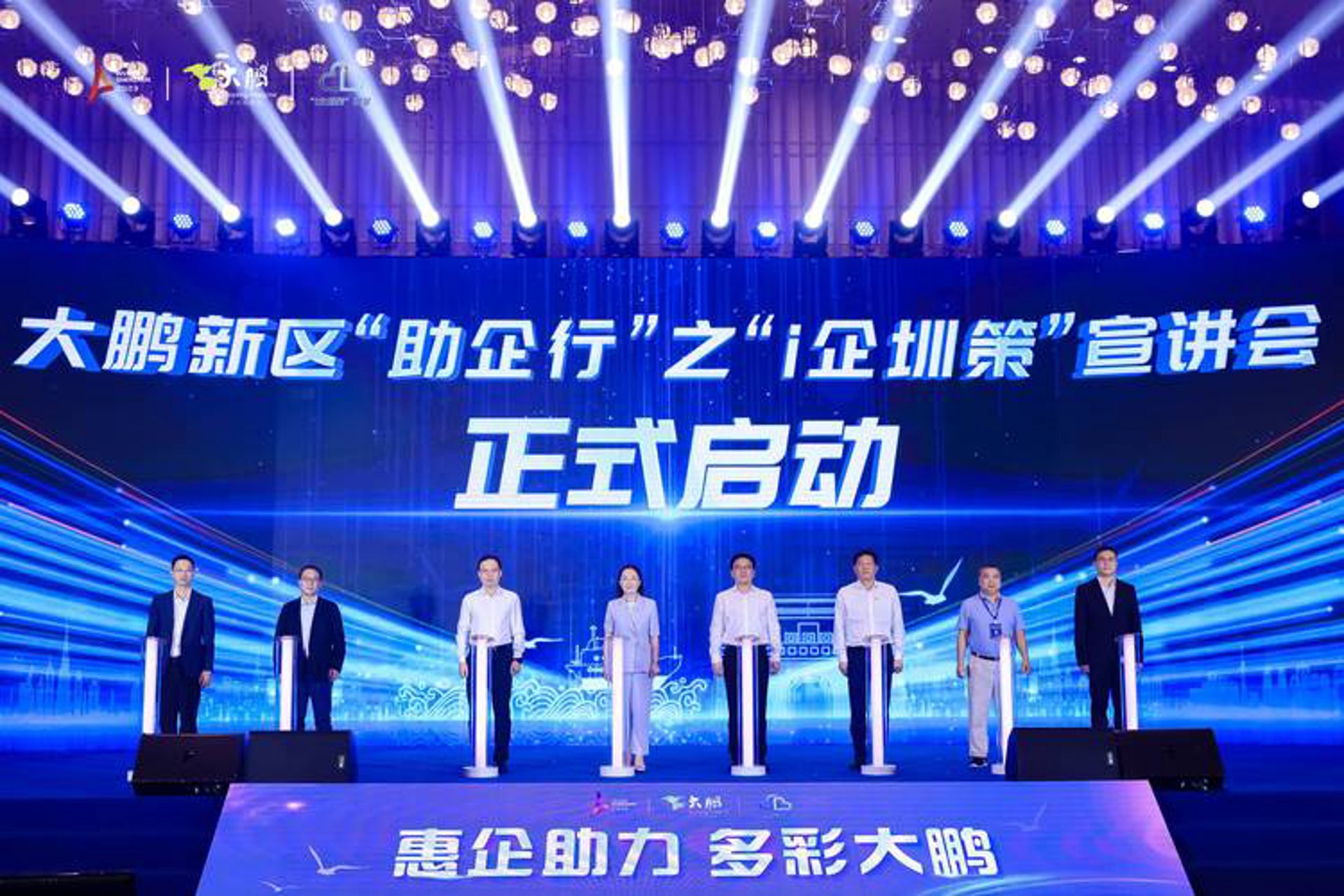 大鹏网络科技