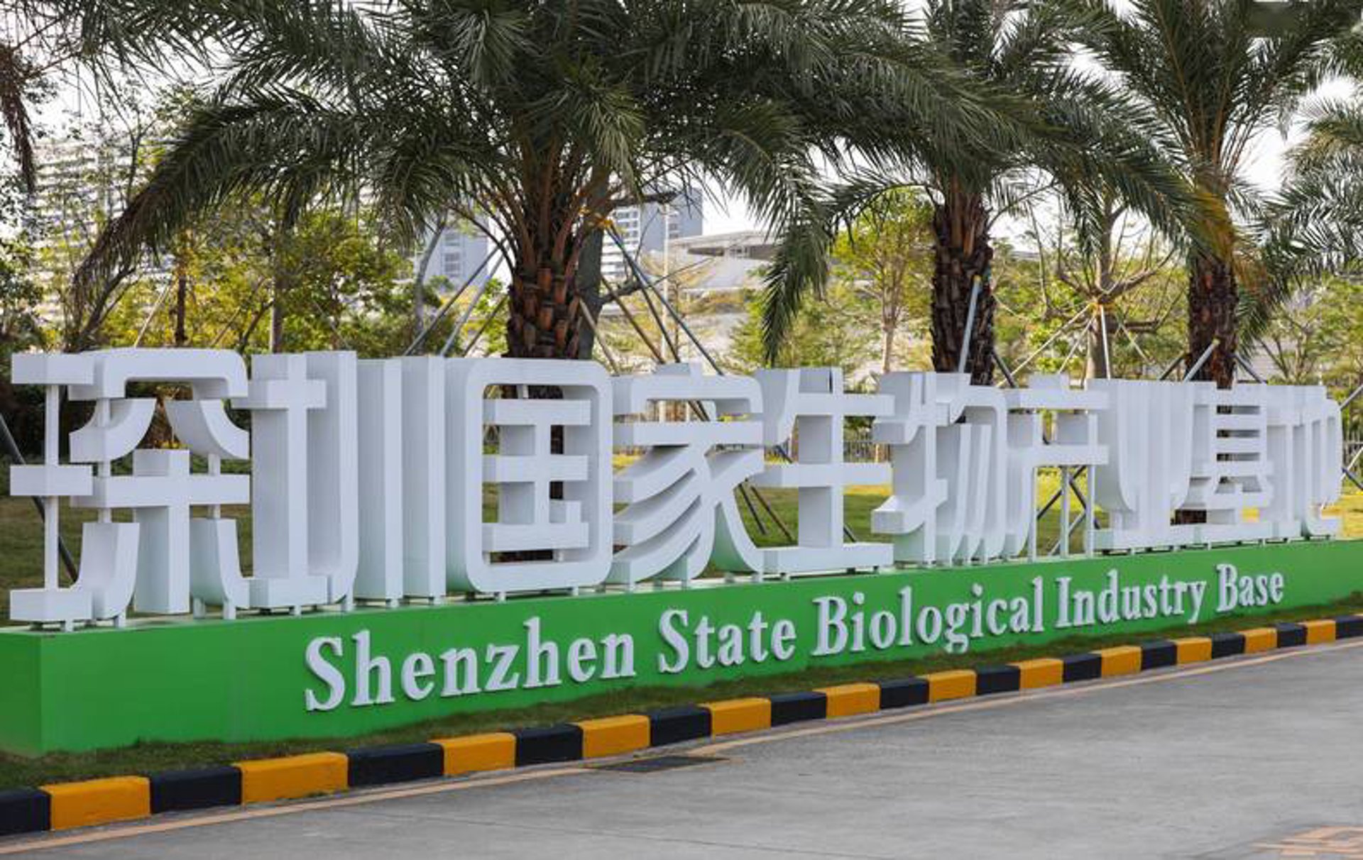 大鹏网络科技